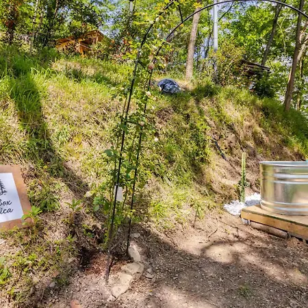 Starsbox Cinque Terre - America Kemping *